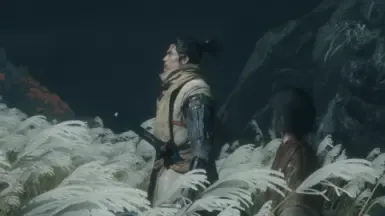白狼