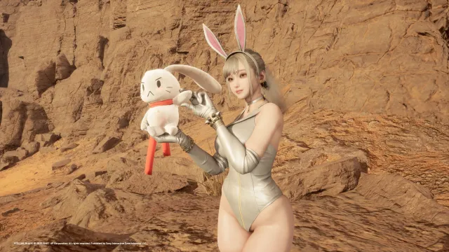CNS BUNNY兔子