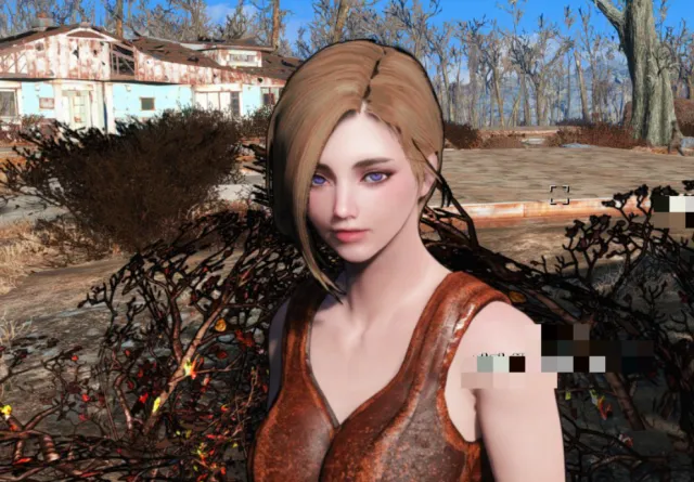 辐射4 女性白皙皮肤 Unfair Skin AIO