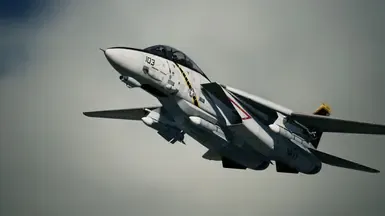 F-14D -快乐罗杰斯-