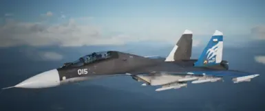 Su-30SM - 太阳与跨步者交叉皮肤 -