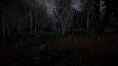 自然降雨
