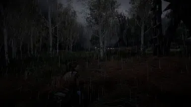 自然降雨