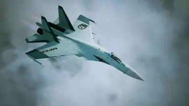 Su-37 -广濑 玲奈-