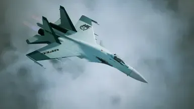 Su-37 -广濑 玲奈-