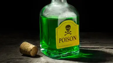 毒药药剂 - 请勿寻求帮助 我不负责模组制作