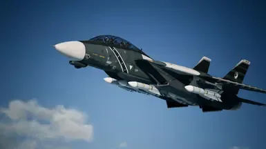 F-14D 雄猫 -雪-