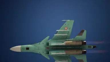 海象涂装与徽章