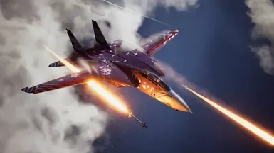 F-14D -日本-