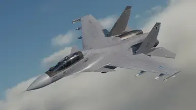Su-30SM -MKM-