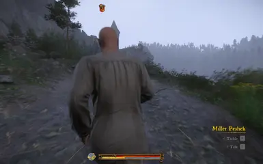 移除主要HUD _可自定义_ 罗盘 - 生命值 - 准星 - 战斗准星 - 小型准星