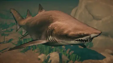 Sand Tiger Shark - New Species (1.13)
