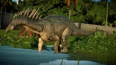 Hyper's Amargasaurus TLC