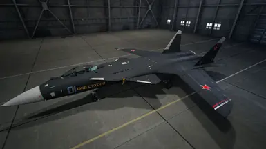 Su-47 金雕 -原型机-