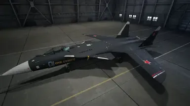 Su-47 金雕 -原型机-