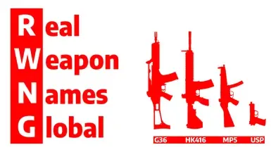 真实武器名称 全球