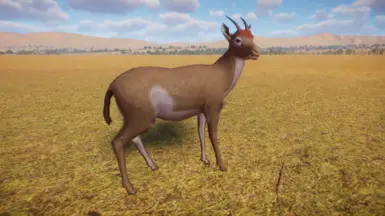 Kirks Dik Dik 模组（替换版）