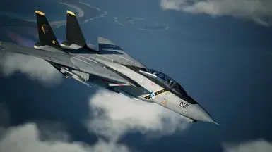 F-14D Tomcat -Wardog-