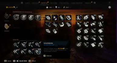 Ancoras Inventory and Player Mod