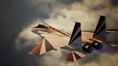 F-15J 鹰式战机 -哈雷- (皇牌空战4 王牌)
