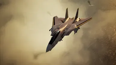F-14D -Scarface 1
