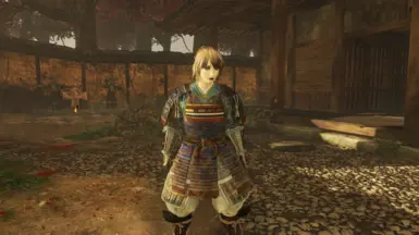 Kohoku Vest Removal