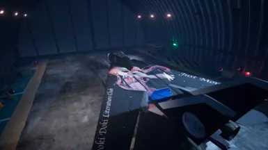 F-14D 雄猫 莫妮卡