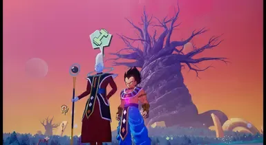 破坏神贝吉塔服装