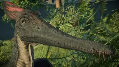Cearadactylus 喙部调整