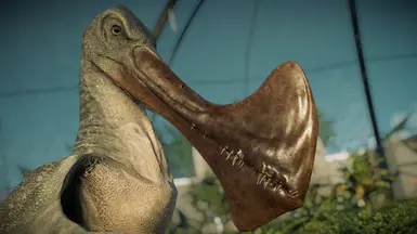 Tropeognathus 喙调整