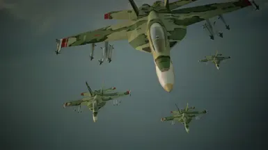 F-18F 大黄蜂 -Grun-