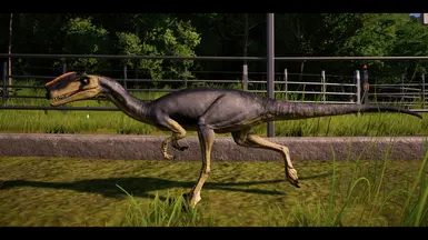 原角龙皮肤(基于Hellraptors艺术作品)