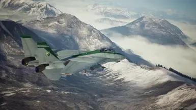 F-14D 枪骑兵中队