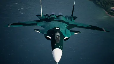 Su-47 柳树中队