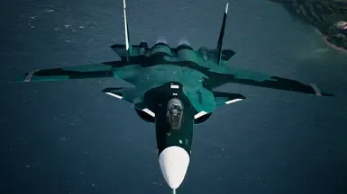 Su-47 柳树中队