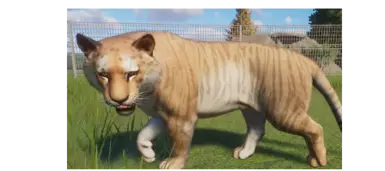 Tigon - 孟加拉虎替代品
