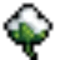 给我棉花