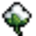 给我棉花