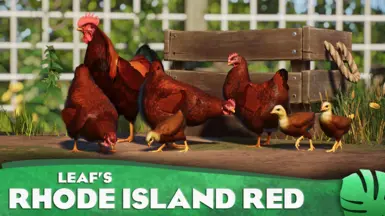 Rhode Island Red Chicken - New Domestic Species (1.17)