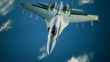 Su-35S -记录-