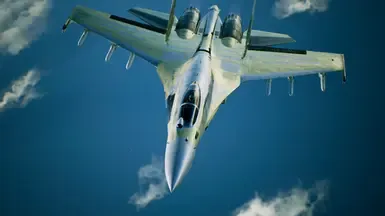 Su-35S -记录-