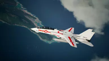 F-14D 雄猫 - 超时空要塞 VF-1J 朱红中队 -
