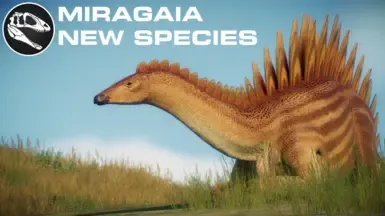 LAS Miragaia longicollum (新物种) (1.6)