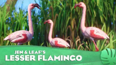 Lesser Flamingo - New Species (1.16)