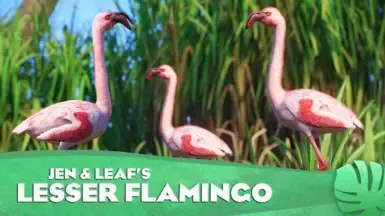 Lesser Flamingo - New Species (1.16)