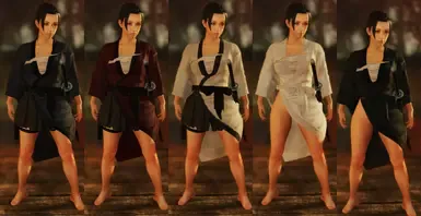 大师剑士长袍重着色