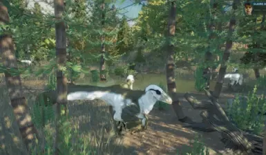 saurian pack