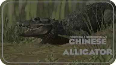 Chinese Alligator by Phonetic - New Species (1.16)