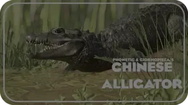 Chinese Alligator by Phonetic - New Species (1.16)