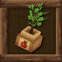 [NoCube's] Orchard